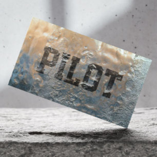 Carte De Visite Cool givré pilote de glace/Carte de visite d'aviat