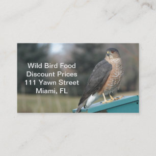 Carte De Visite Coopers Hawk
