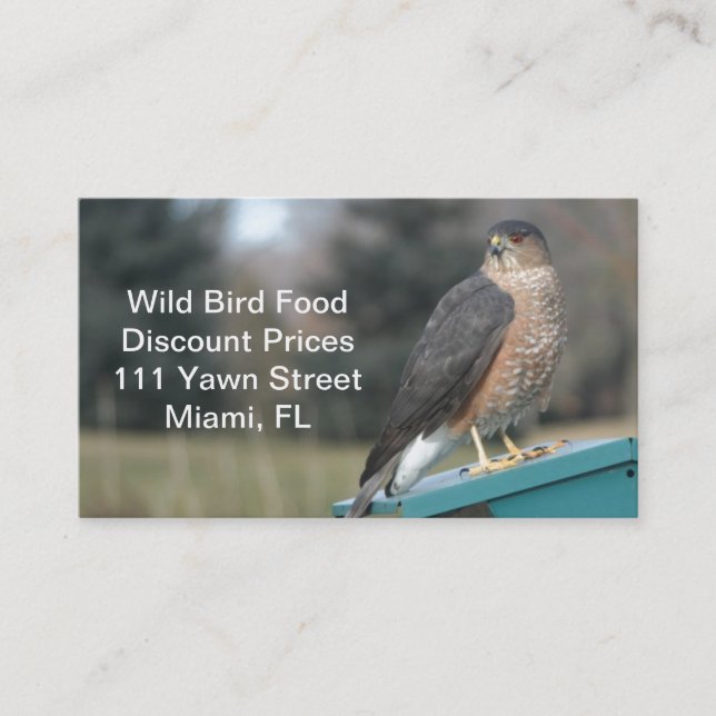 Carte De Visite Coopers Hawk (Devant)
