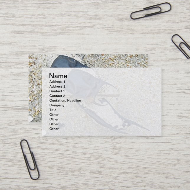 Carte De Visite Coques d'oeufs de patinage sur la plage (Devant/Arrière en situation)