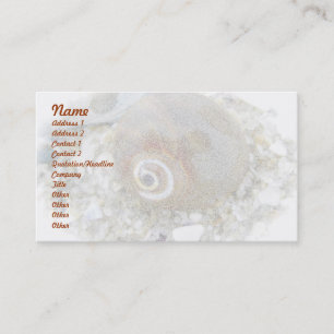 Carte De Visite Coquillage à bas niveau pour les éléments de co