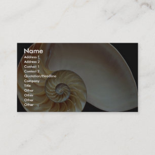 Carte De Visite Coquille magnifique de Nautilus