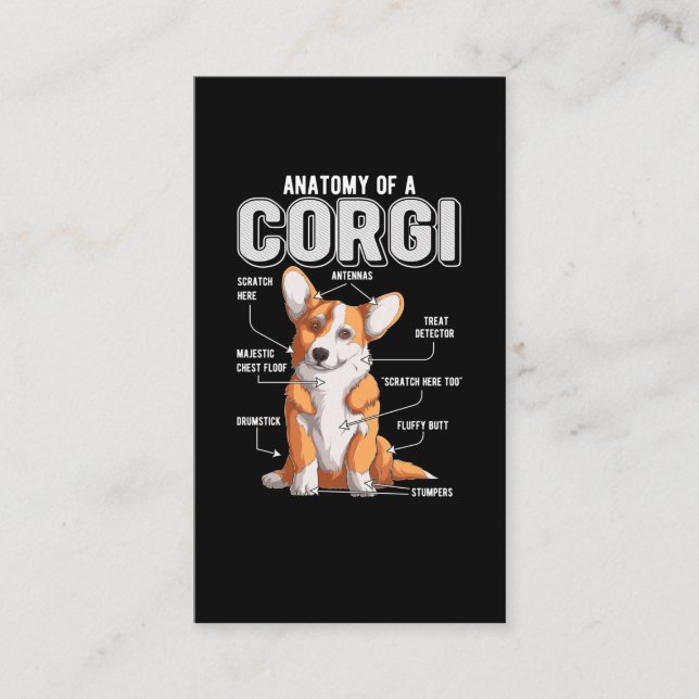 Carte De Visite Corgi Anatomie Funny Chien (Devant)