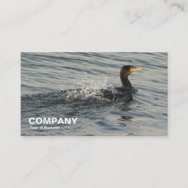 Carte De Visite Cormorant Apprendre à nager (Devant)