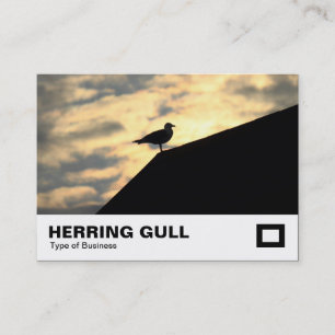 Carte De Visite Coucher de soleil de goélands argentés