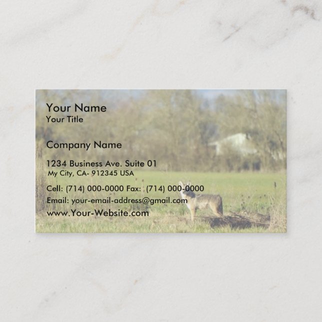 Carte De Visite Coyote (Devant)