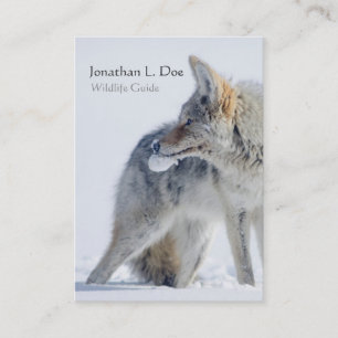 Carte De Visite Coyote de guide de faune de neige, écologiste