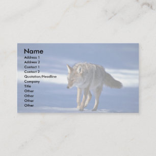 Carte De Visite Coyote sur la neige