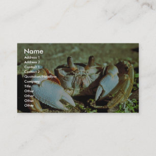 Carte De Visite Crabe de fantôme