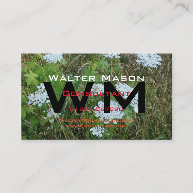 Carte De Visite Créez votre propre consultant générique simple (Devant)