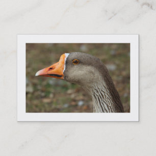 Carte De Visite Croix d'oie de cygne gris (frontière)