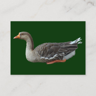 Carte De Visite Croix d'oie de cygne gris (isolée)