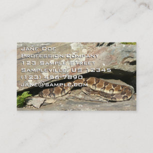 Carte De Visite Crotale à Shenandoah National Park