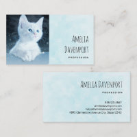 Cuite Kitten blanc avec de beaux yeux bleus