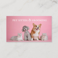 Cute animal de compagnie Sitter Chien Grossing
