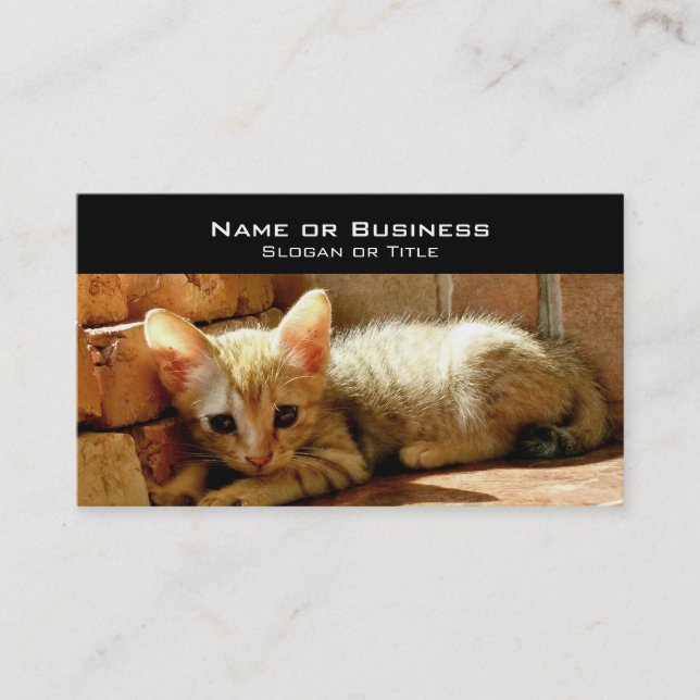 Carte De Visite Cute Little Kitten (Devant)