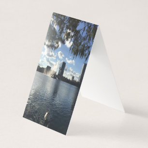 Carte de visite cygne