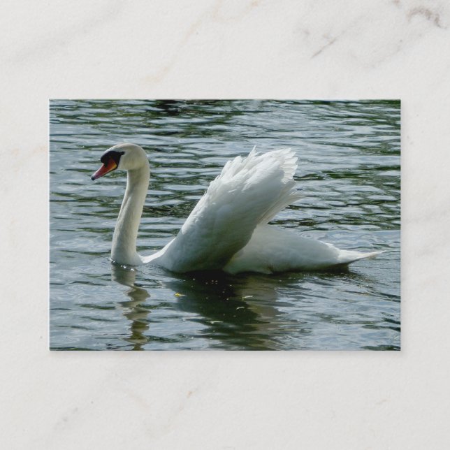 Carte De Visite Cygne (Devant)