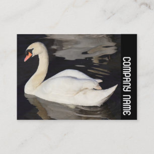 Carte De Visite Cygne muet - bande latérale