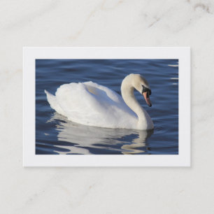 Carte De Visite Cygne muet (Bordé)
