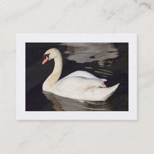 Carte De Visite Cygne muet II (frontière) (Devant)