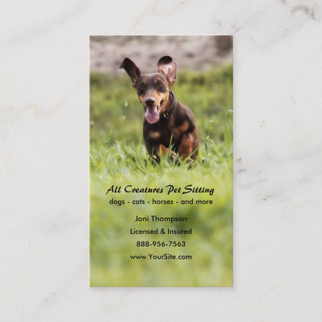 Carte de visite Dachshund de disquette (Devant)