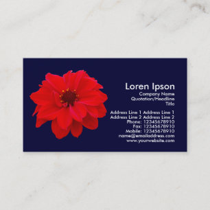 Carte De Visite Dahlia, évêque de Llandaff - bleu foncé de la mari