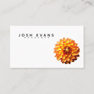 Carte De Visite Dahlia Gardener