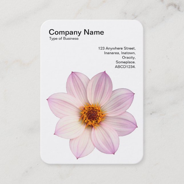 Carte De Visite Dahlia rose (Devant)