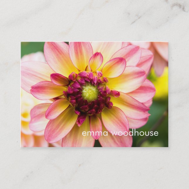 Carte De Visite Dahlia rose, blanc et jaune (Devant)