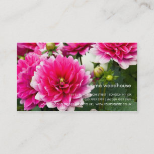 Carte De Visite Dahlia rose et blanc