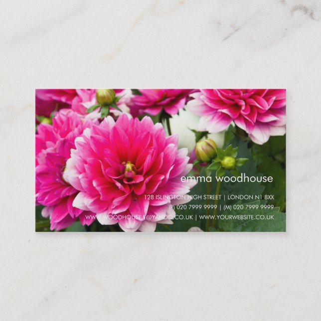 Carte De Visite Dahlia rose et blanc (Devant)
