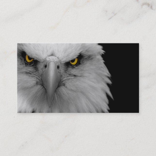 carte de visite d'aigle à tête blanche (Devant)