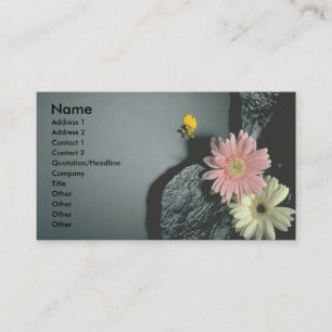 Carte De Visite Daisers