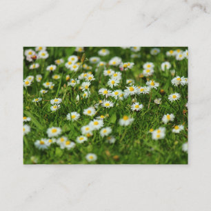 Carte De Visite Daisy Meadow