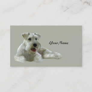 Carte de visite d'amant de Schnauzer miniature
