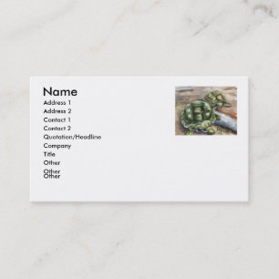 Carte de visite d'amis de tortue