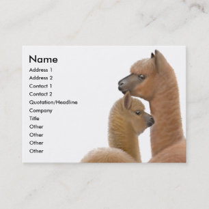 Carte de visite d'amour d'alpaga