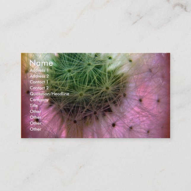Carte De Visite Dandy Seeds (Devant)
