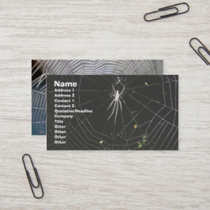 Carte de visite d'araignée de Tétragnathid Orb W