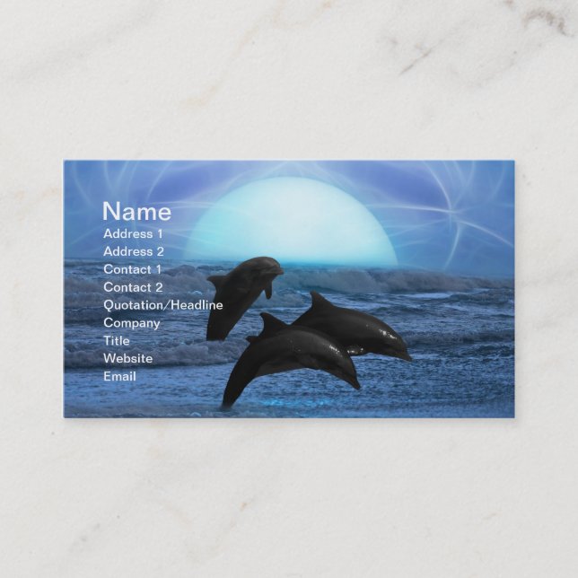 Carte De Visite Dauphins au clair de lune (Devant)