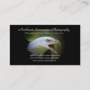carte de visite de Bald Eagle