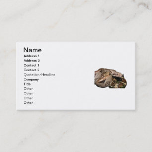 Carte de visite de BCI
