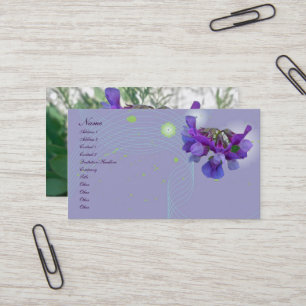 Carte de visite de Beach Pea (Lathyrus maritimus)