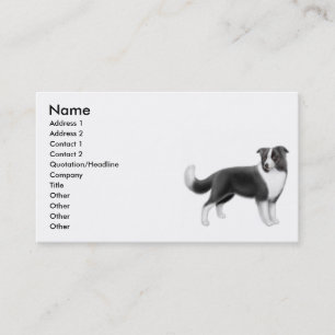 Carte de visite de border collie