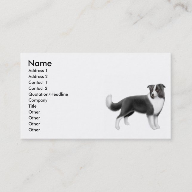 Carte de visite de border collie (Devant)