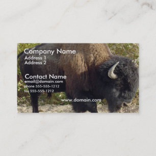 Carte de visite de Buffalo