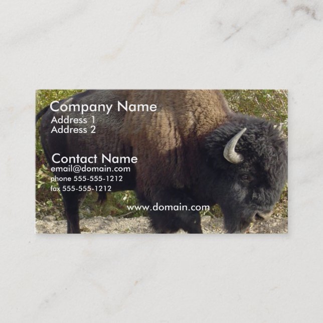 Carte de visite de Buffalo (Devant)