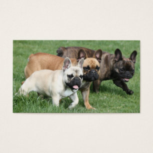 Carte de visite de Bulldogen