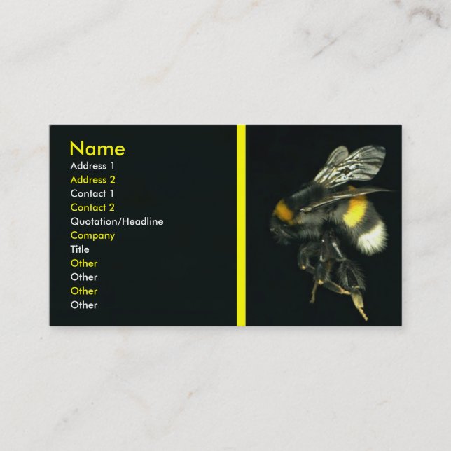 Carte de visite de Bumblebee (Devant)